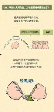 猪瘟最新爆料,揭秘病毒传播与防控策略